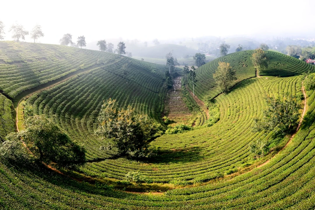 cau-noi-truyen-cam-hung-giam-can-kham-pha-suc-manh-tinh-than