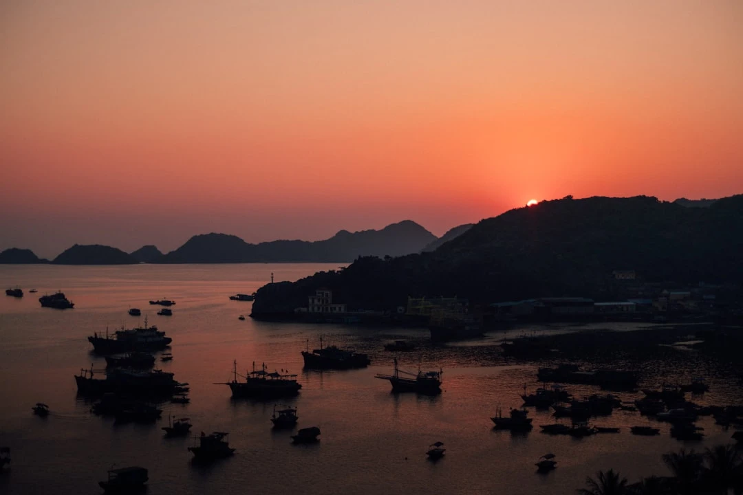 niem-tin-trong-dem-anh-sang-tu-toi-tam-cua-cuoc-song